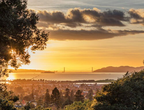 Berkeley is the (among the) best! / Going Green
