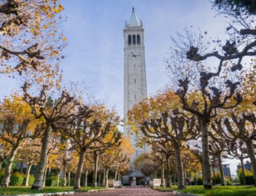 UC BERKELEY: MORE  ACCOLADES!